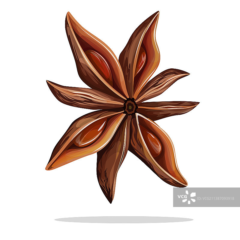 卡通风格单株茴芹EPS影像图片素材