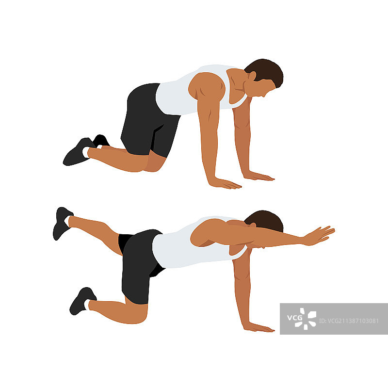 鸟犬式训练核心肌群，两步完成图片素材