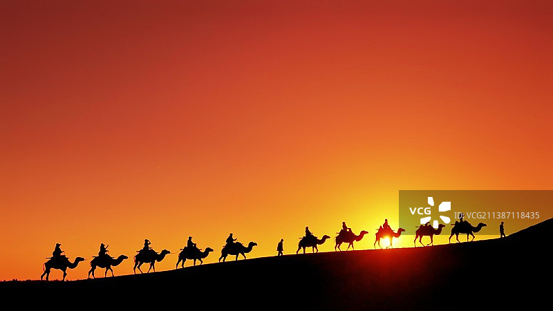 手机随拍：大漠驼铃图片素材