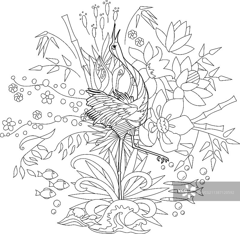 小鸟轮廓填色书图片素材