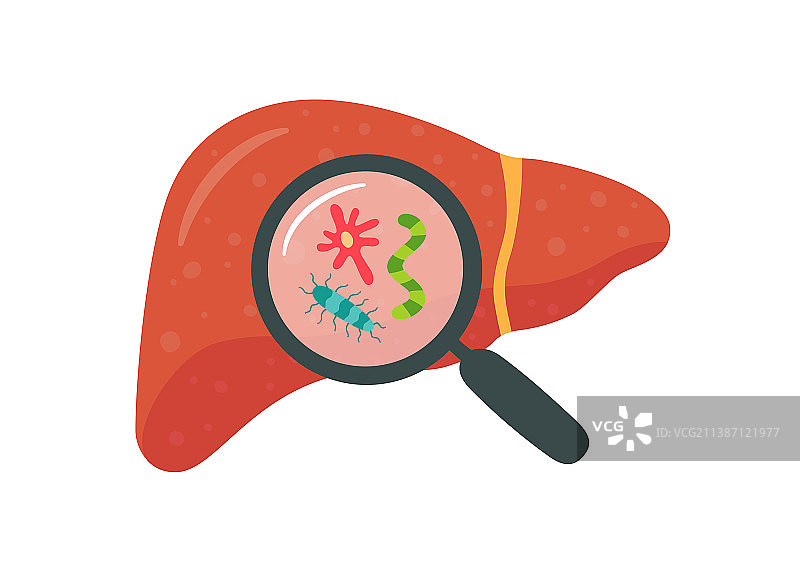 放大镜下的肝脏疾病图片素材