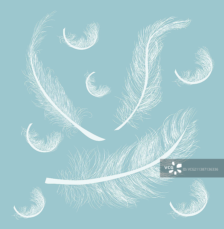 羽毛合集图片素材