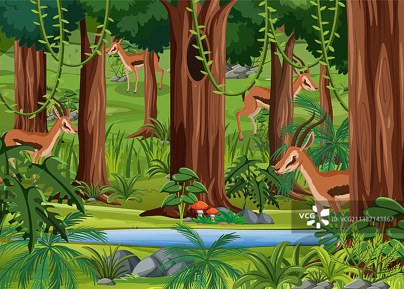 森林景观中的野生动物背景图片素材