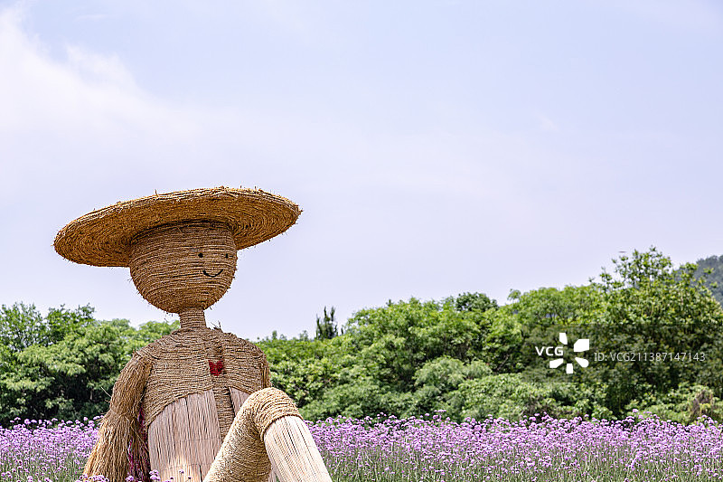 花海和稻草人图片素材