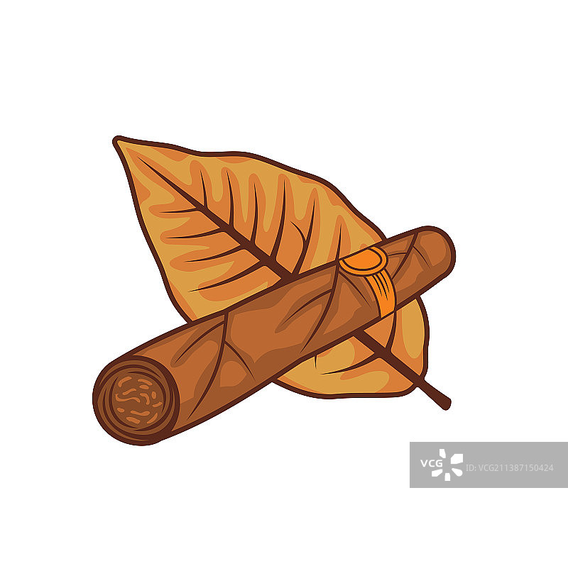 烟草和雪茄图片素材