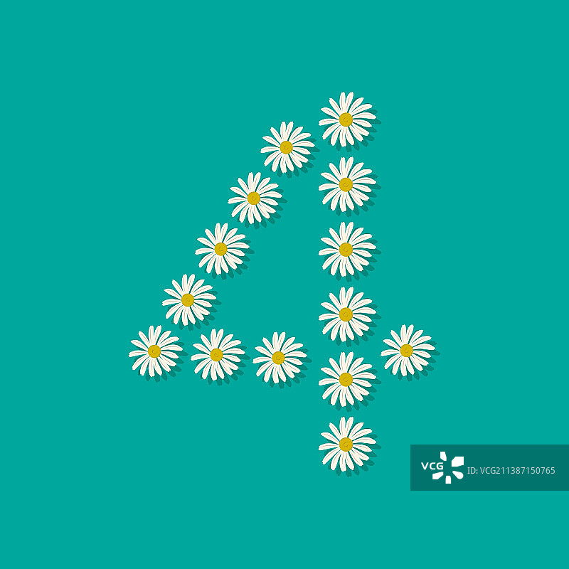 白色甘菊鲜花数字4图片素材