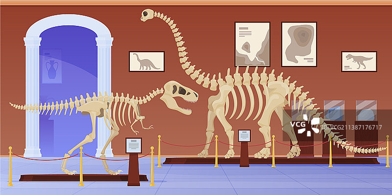 空旷的古生物学博物馆与恐龙图片素材