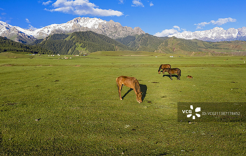 自然景观带图片素材