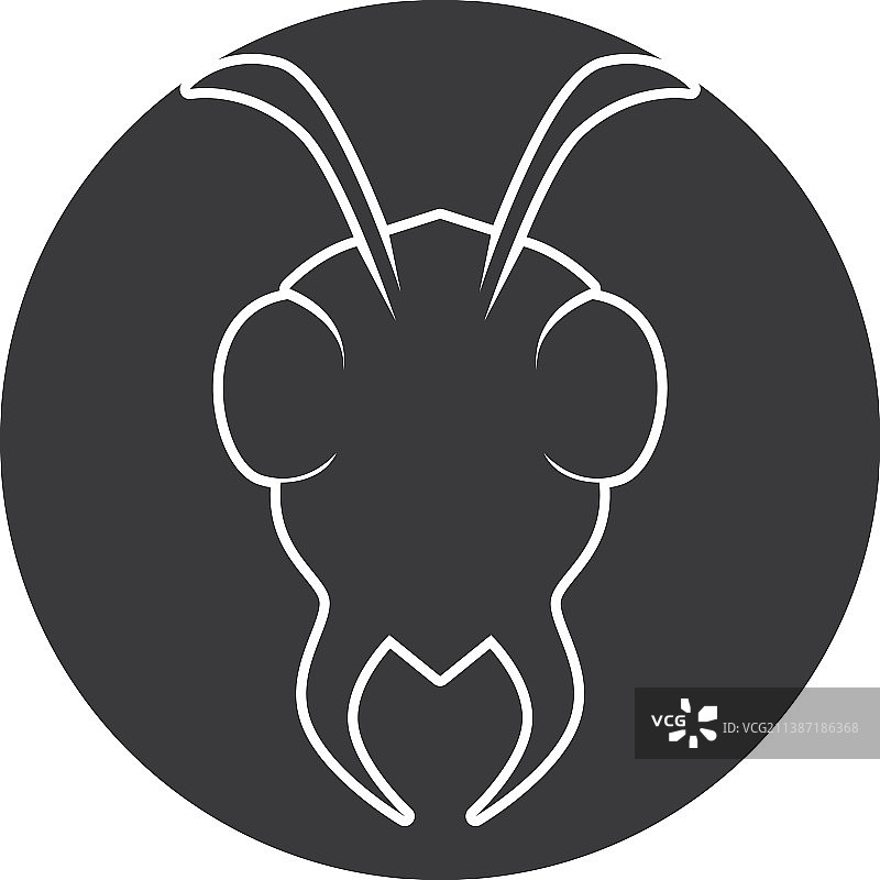 蚂蚁设计图片素材