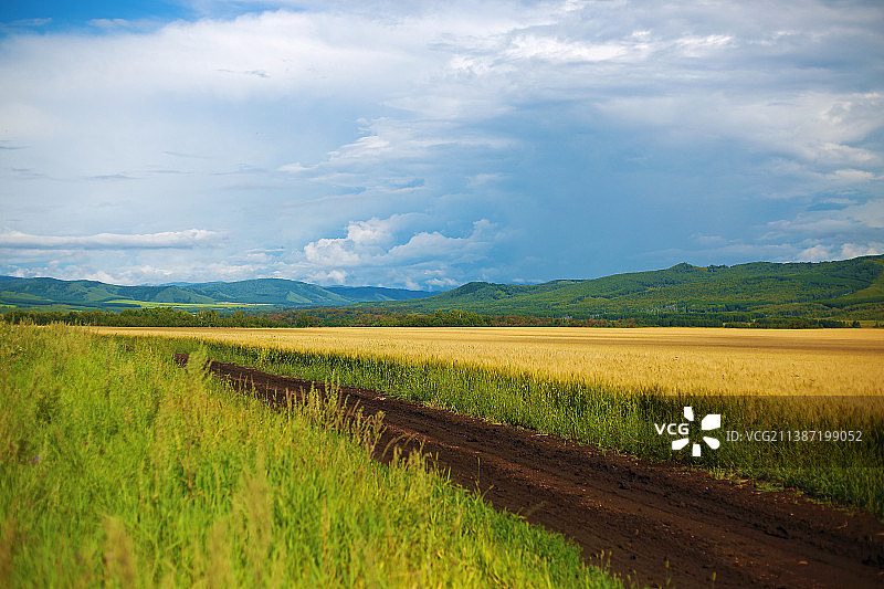 肥沃的黑土地图片素材