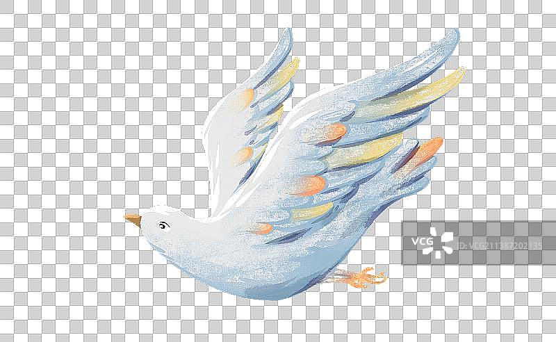 飞翔的白鸽插画图片素材