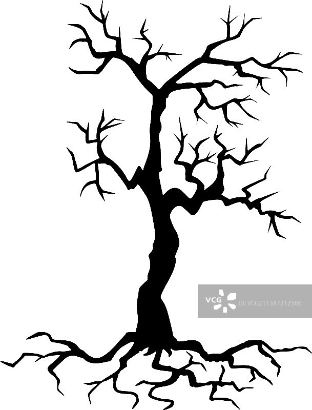 白色背景上的黑色扭曲枯树轮廓图片素材