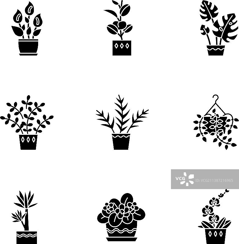 家养植物黑色标志图片素材