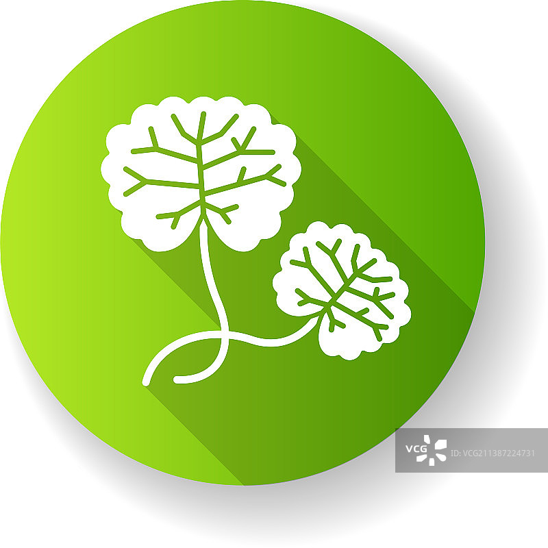 积雪草绿色扁平设计长阴影glyph图标图片素材