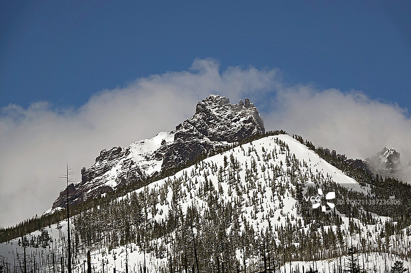 三指杰克图片素材