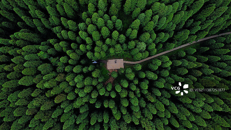 航拍原始森林图片素材