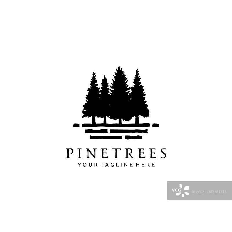 松树常绿冷杉树森林logo设计图片素材