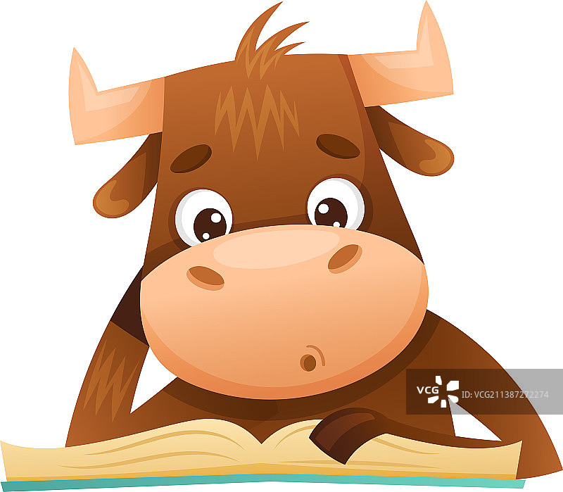 可爱的小牛读书图片素材