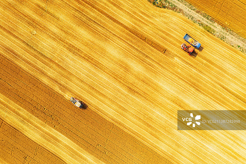 夏季芒种时节河南郑州黄河边麦田成熟联合收割机收获场景航拍正上方视角图片素材