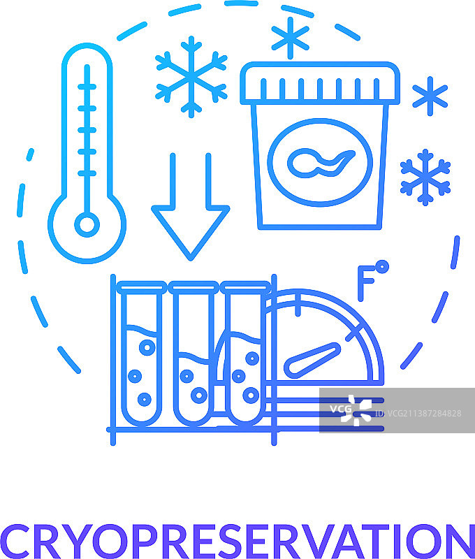 蓝色冷冻保存概念：女性卵子图片素材