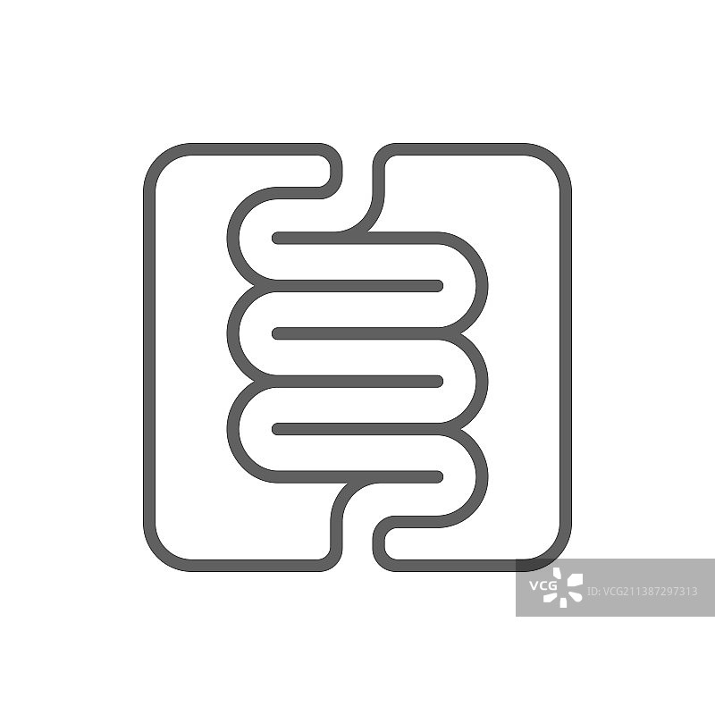 消化系统图片素材