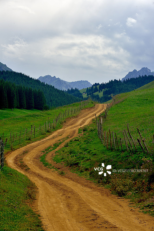 进山路图片素材