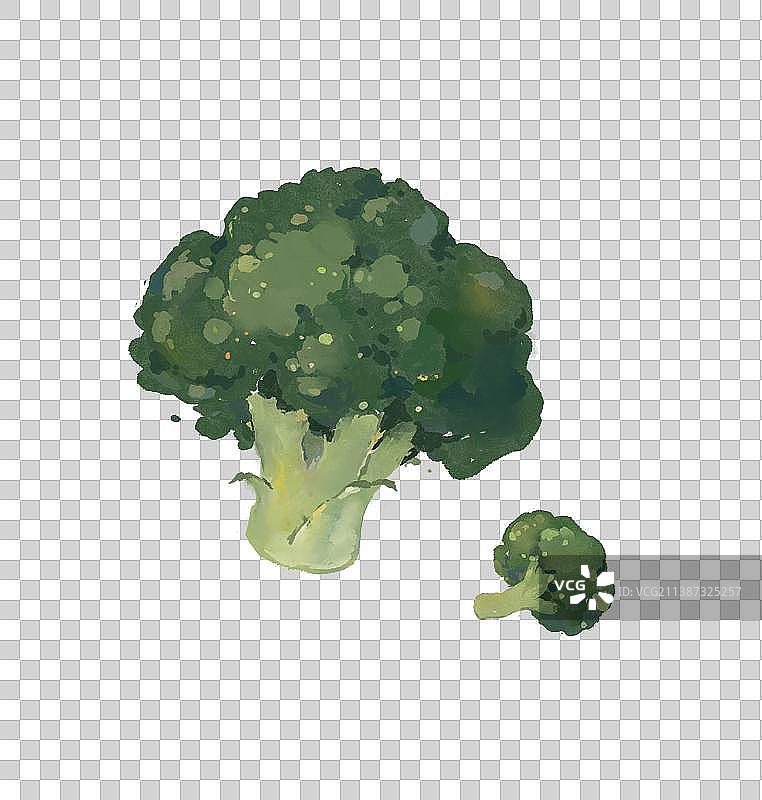 蔬菜插画元素西蓝花图片素材