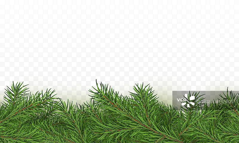 真实的圣诞节杉树边框背景图片素材
