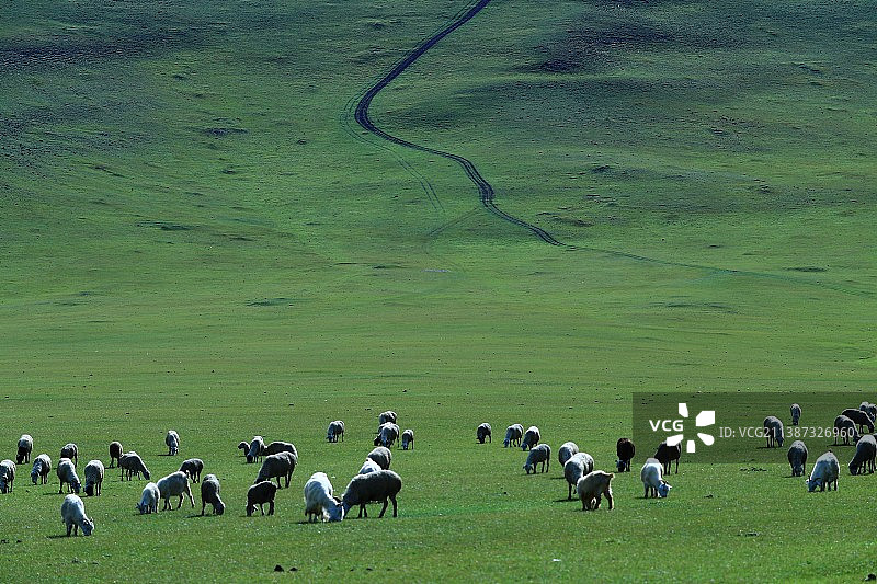 青山朝别暮还见 嘶马出门思故乡图片素材