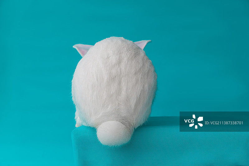 躲躲兔图片素材