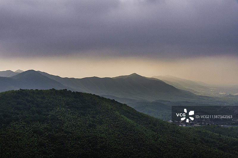 漫山山野茶田和茶园的乡村景色图片素材