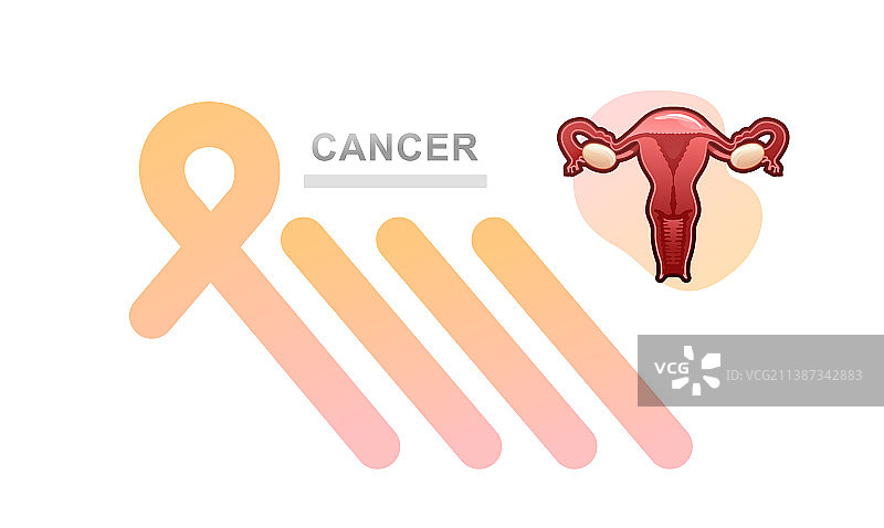 banner女性生殖器官子宫图片素材