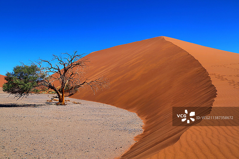纳米比亚红沙丘图片素材