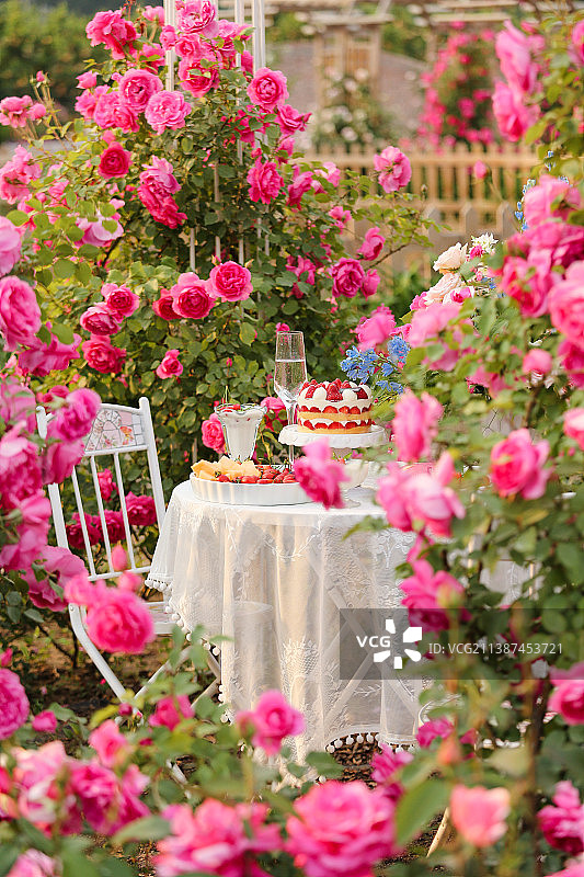 玫瑰园下午茶图片素材