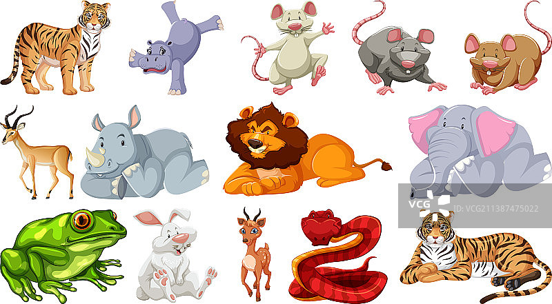 不同的野生动物卡通角色套装图片素材