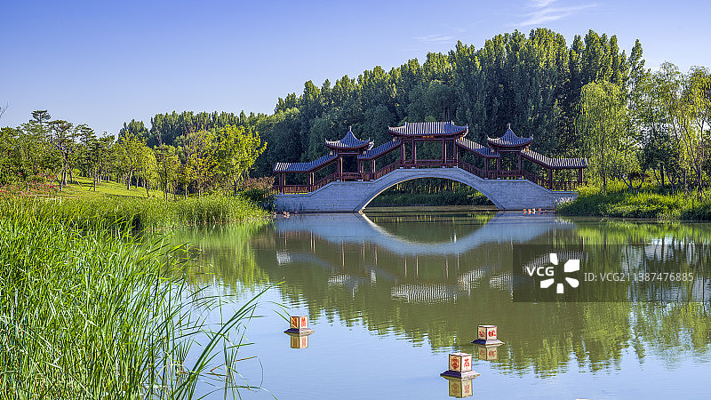 湿地夏季风光图片素材