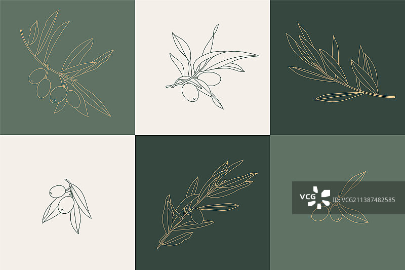 简约线性橄榄枝图片素材