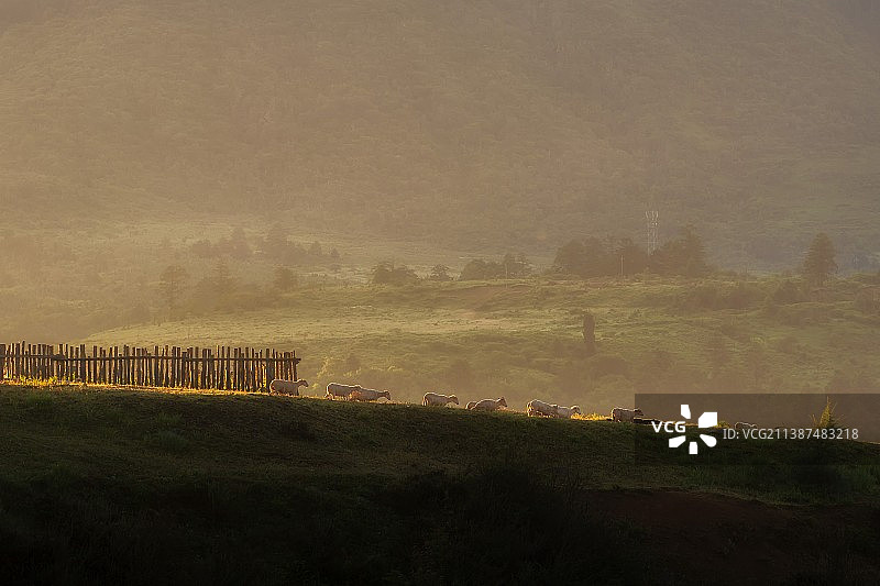 四川凉山彝族自治州冕宁县冶勒湖晨光图片素材