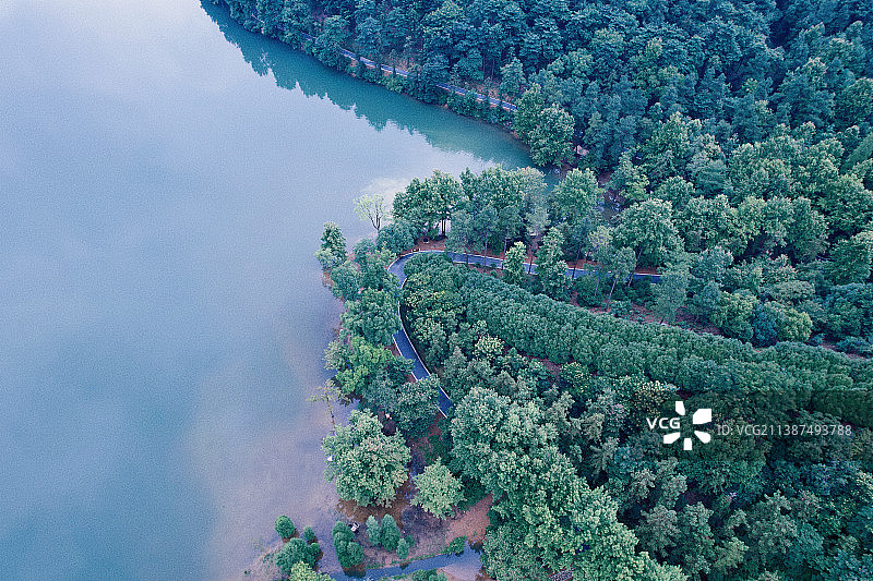 航拍视角下的长乐林场图片素材