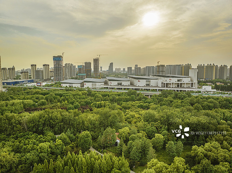 济南森林公园图片素材