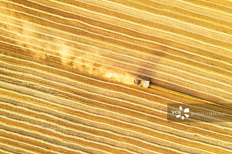 夏季芒种时节河南郑州黄河边麦田成熟联合收割机收获场景航拍正上方视角图片素材