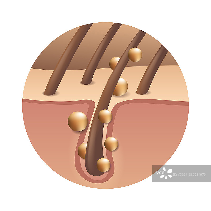 头发焕新亮泽配方图标图片素材