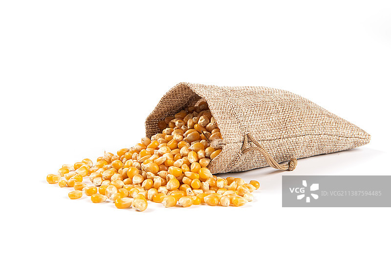 麻袋里散落的玉米粒图片素材