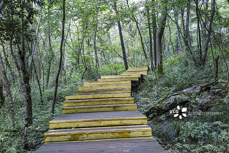 生态之城贵阳的城市国家级森林公园--中国贵州贵阳长坡岭国家级森林公园风光图片素材