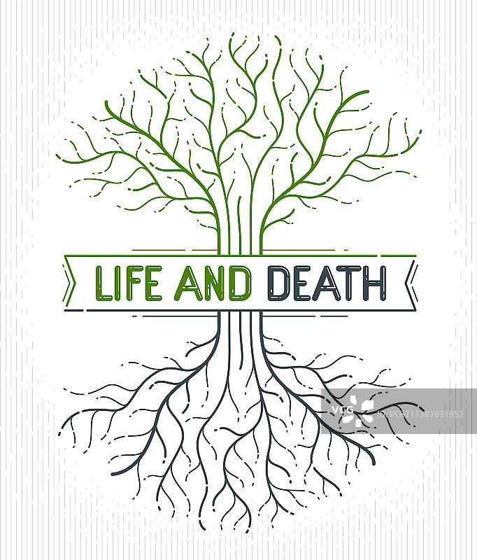 生命之树生与死生命周期图片素材