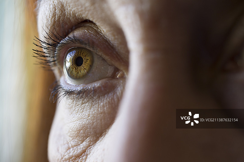 人眼特写图片素材
