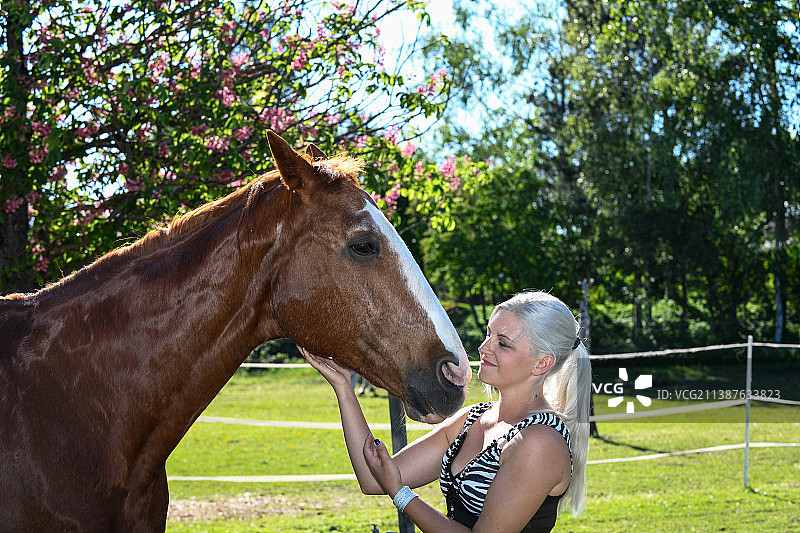 在田野里与马的女子 портрет图片素材