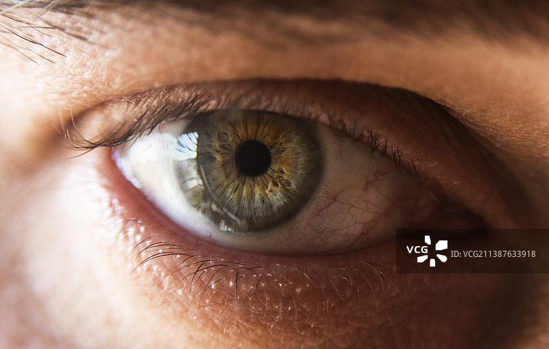 人眼特写，阿根廷图片素材