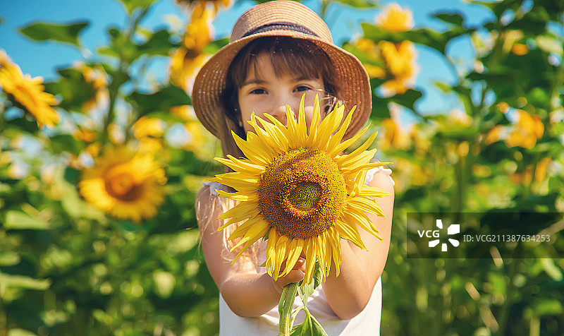 向日葵田里的孩子（选择性焦点）图片素材