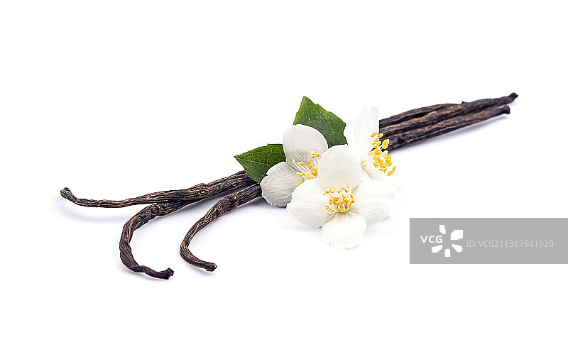 带有鲜花装饰的有机静物图片素材